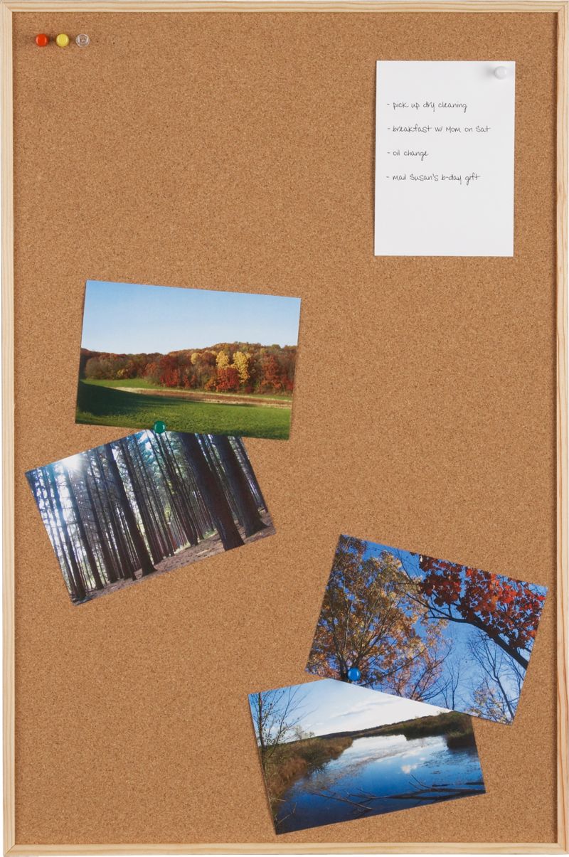 Cork Board