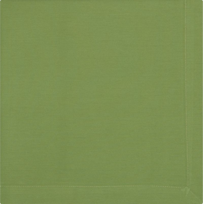 Cotton Mint Napkin
