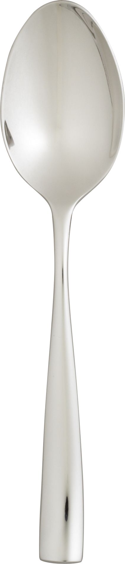 Serving Spoon.