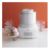 CuisinartIceCreamMkrHG11