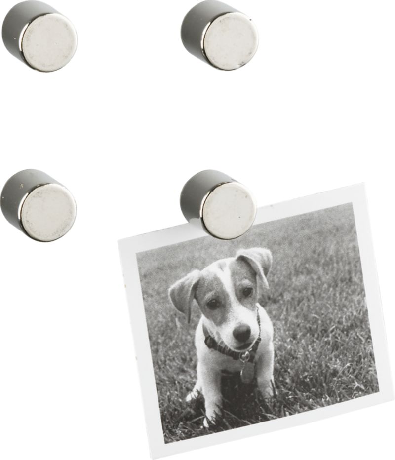 Cylinder Magnets Set of Four