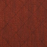 Darcy: Terracotta