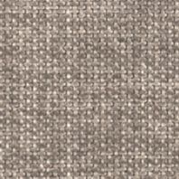 Darius: Pumice
