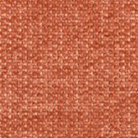 Darius: Terracotta