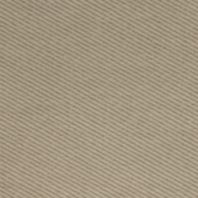 Daryl: Khaki