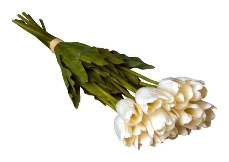DecorativeTulipBunch12