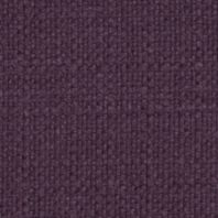 Delight: Aubergine
