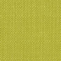 Delight: Grass