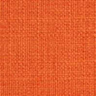 Delight: Saffron