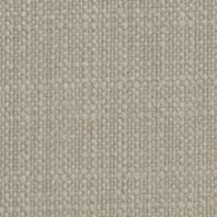 Delight: Taupe