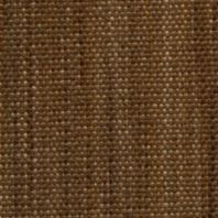 Delridge: Acorn