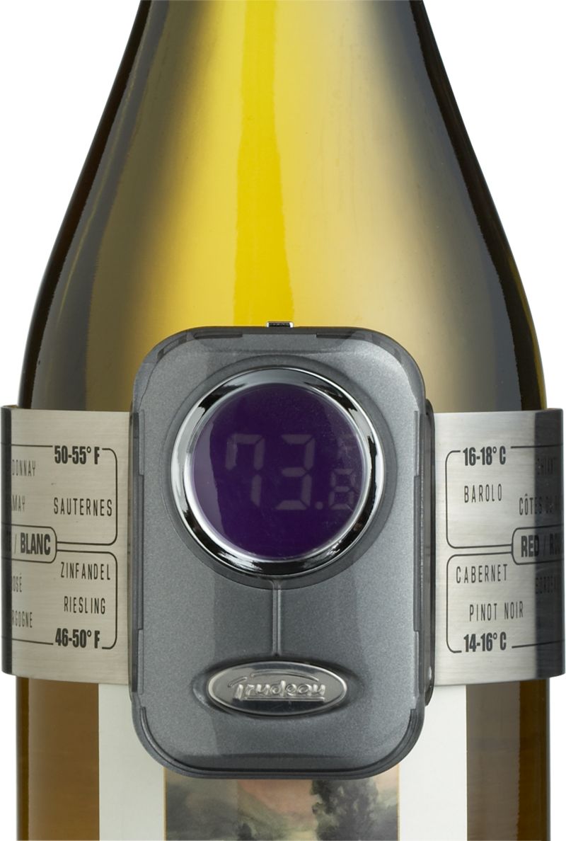Digital Wine Thermometer