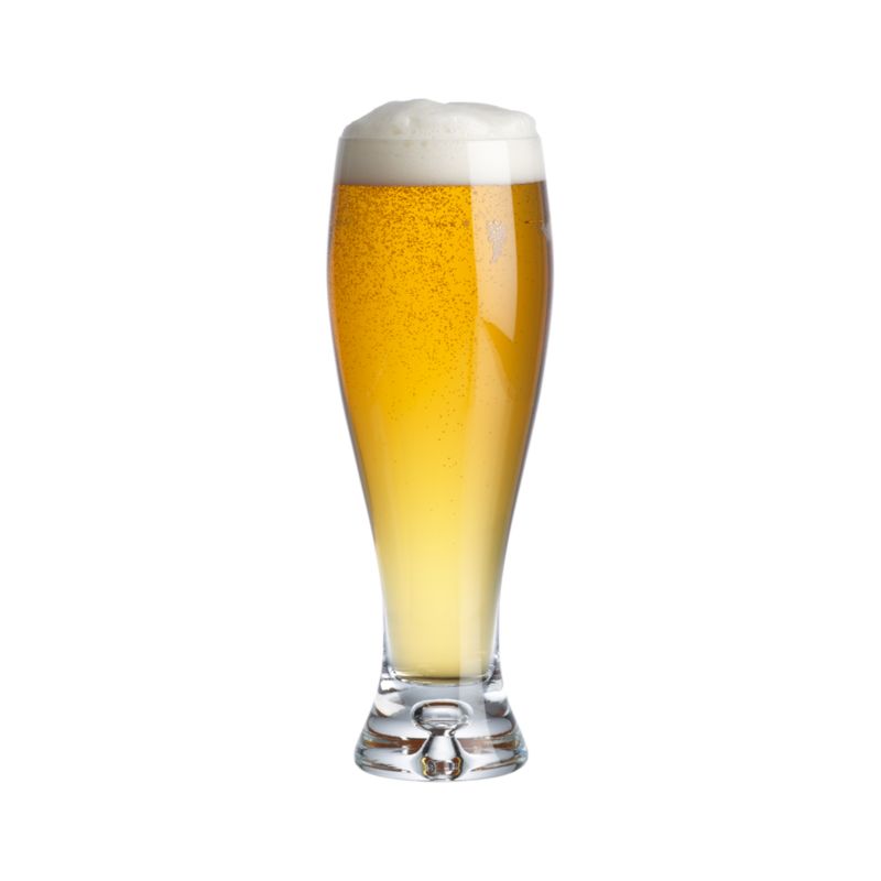 Direction Pilsner 17oz.