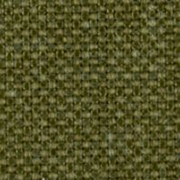 Dossier: Olive