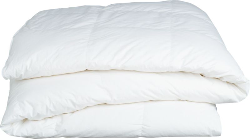 Down F/Q Duvet Insert