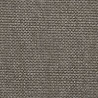 Dune: Taupe