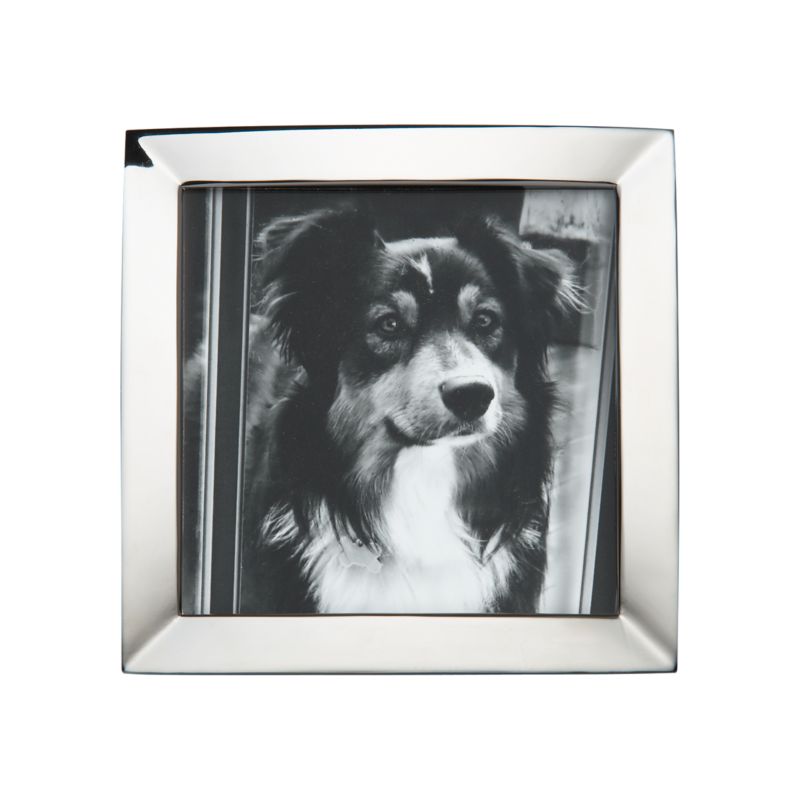 ElizaShinyFrameMiniSqF11