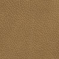 Embark: Antique Beige