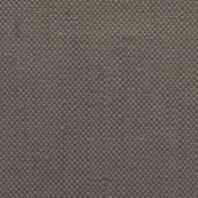 Erin: Graphite