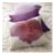 FioriPillowHaywardFI2F11