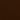 Flagship: Bay Brown
