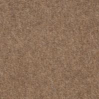 Flanders: Khaki