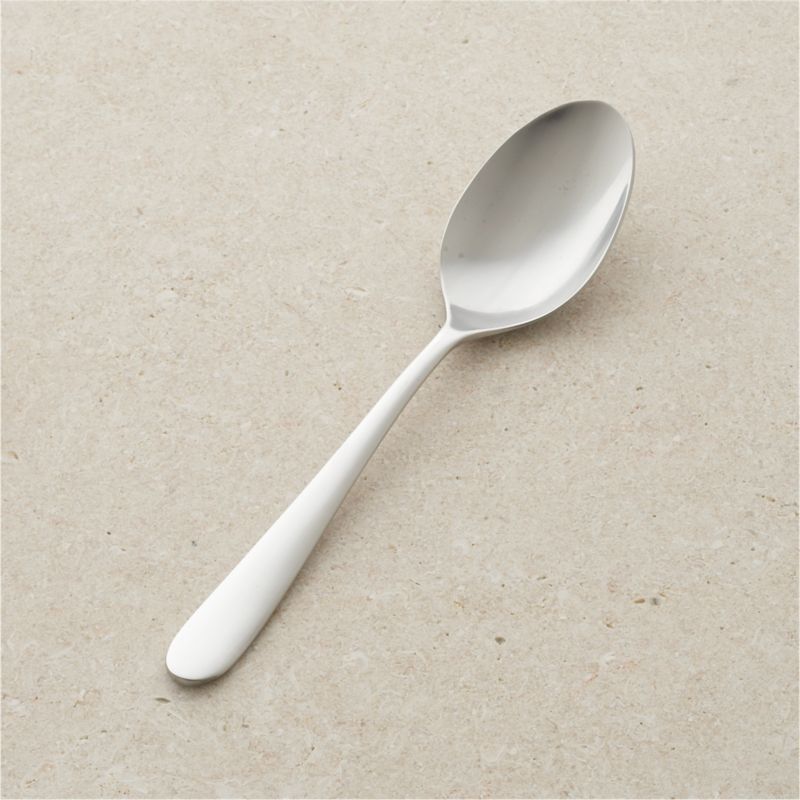 Fusion Serving Spoon Crate and Barrel