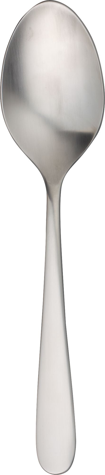 Fusion Serving Spoon