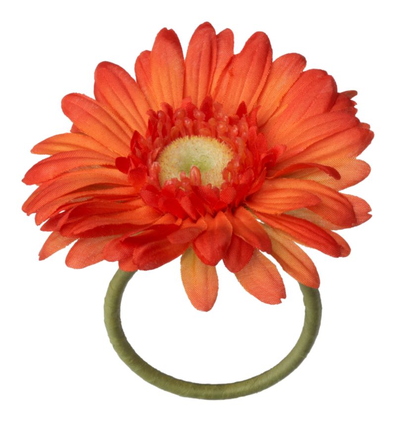 GerberDaisyNapRingOrngS11