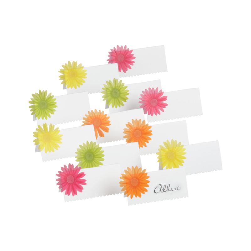 Set of 12 Gerber Daisy Placecards
