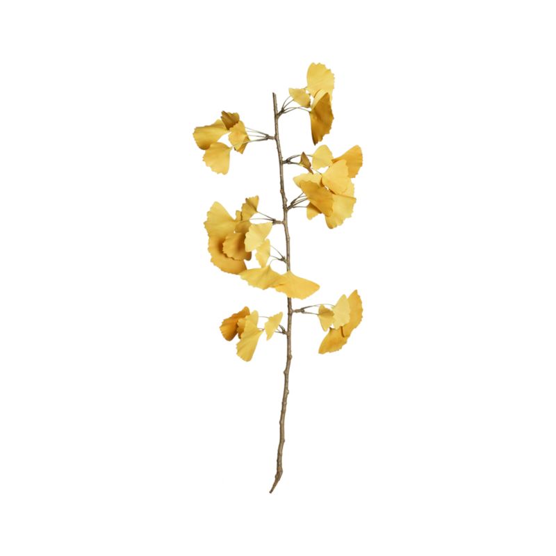 Gingko Yellow Stem