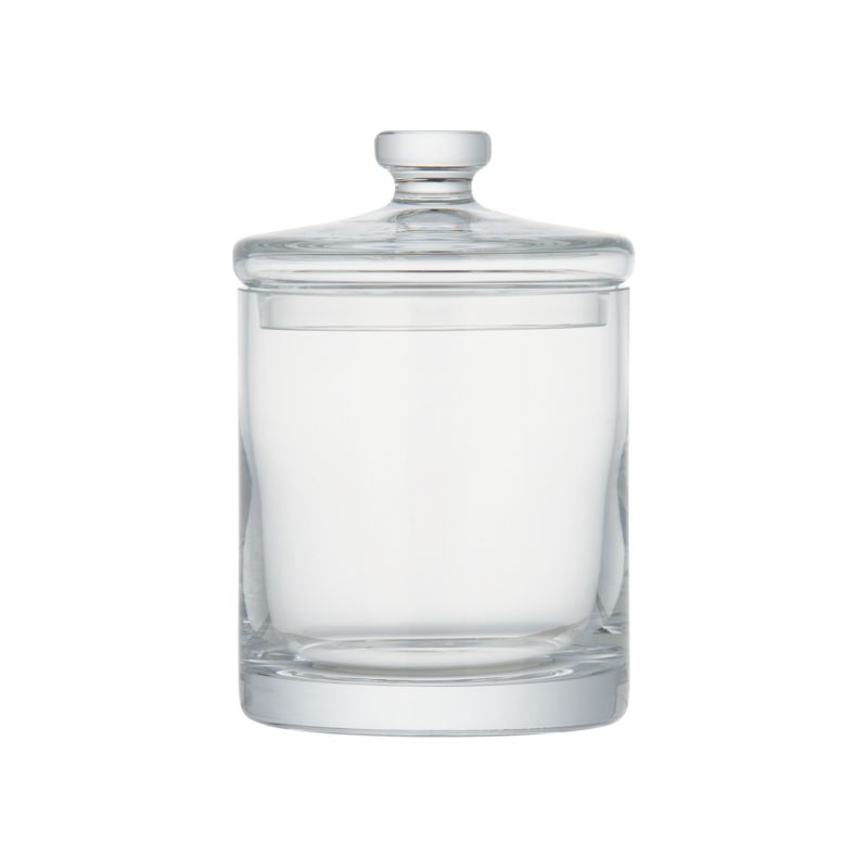 GlassCanister8p75inS10