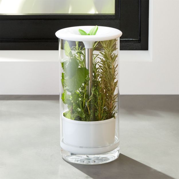 Glass Herb Keeper Crate and Barrel