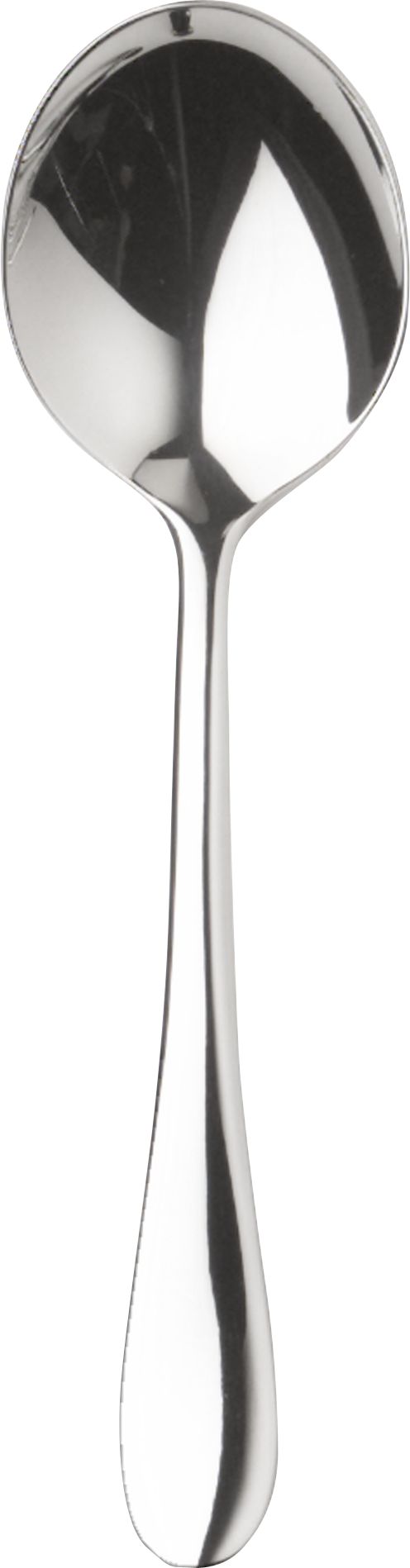 Gourmet Serving Spoon