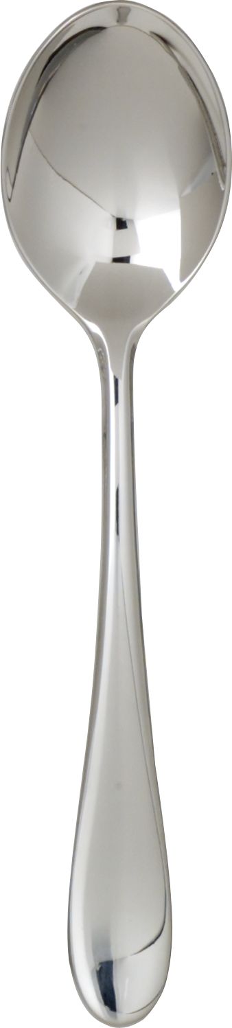 Gourmet Teaspoon