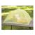 GreenFoodTentAB11