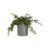 HangingPottedSucculentS11