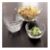 HarborGlassBowlsJL10