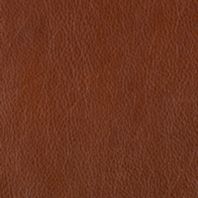 Haven: Molasses