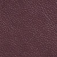 Haven: Orchid