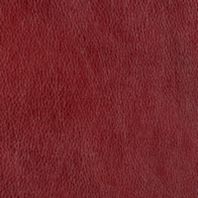 Haven: Pomegranite