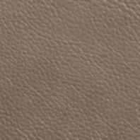 Haven: Truffle