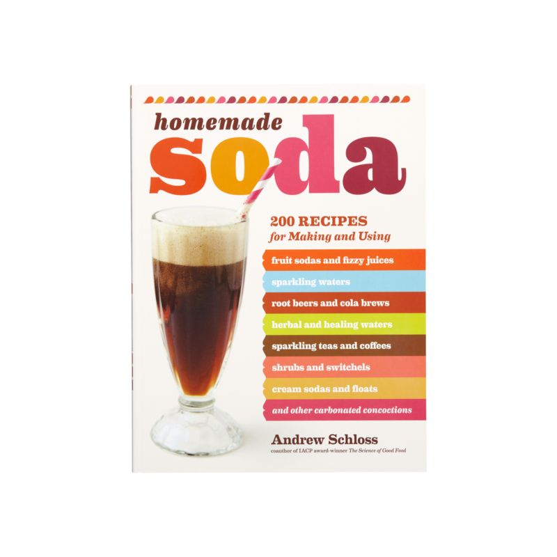 HomemadeSodaBookS12
