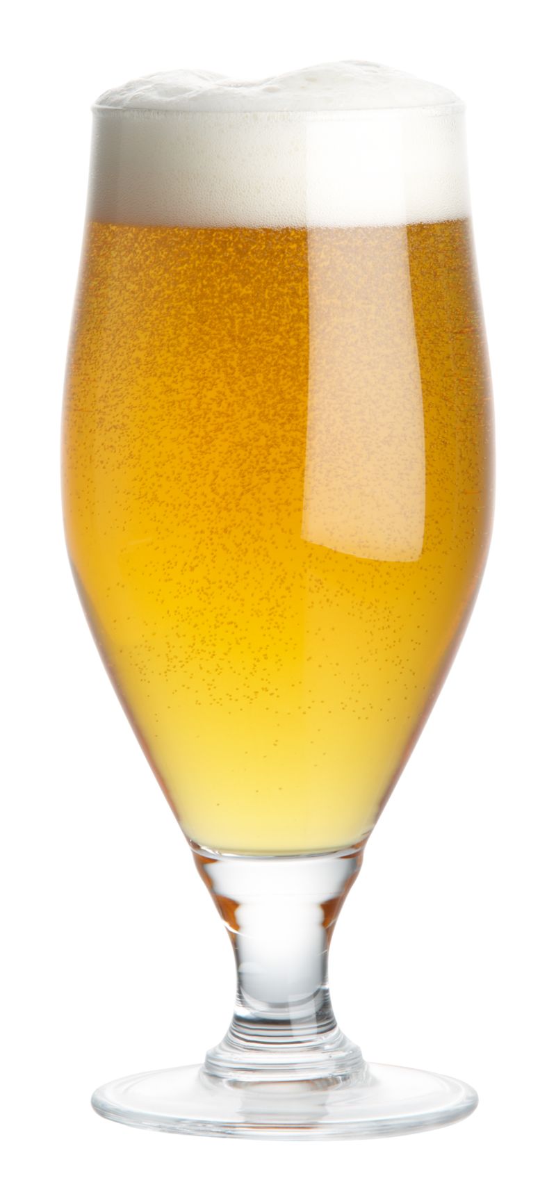 HopsBeers16ozAVF11