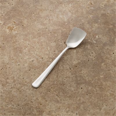 Ice Cream Spoon
