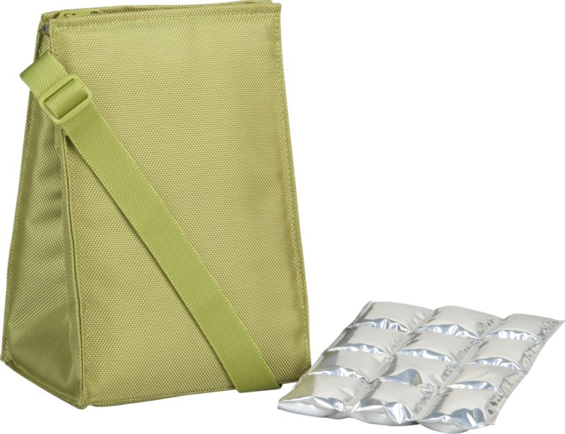 Insulated Green Lunch Bag with Ice Mat