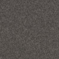 Jackson: Charcoal