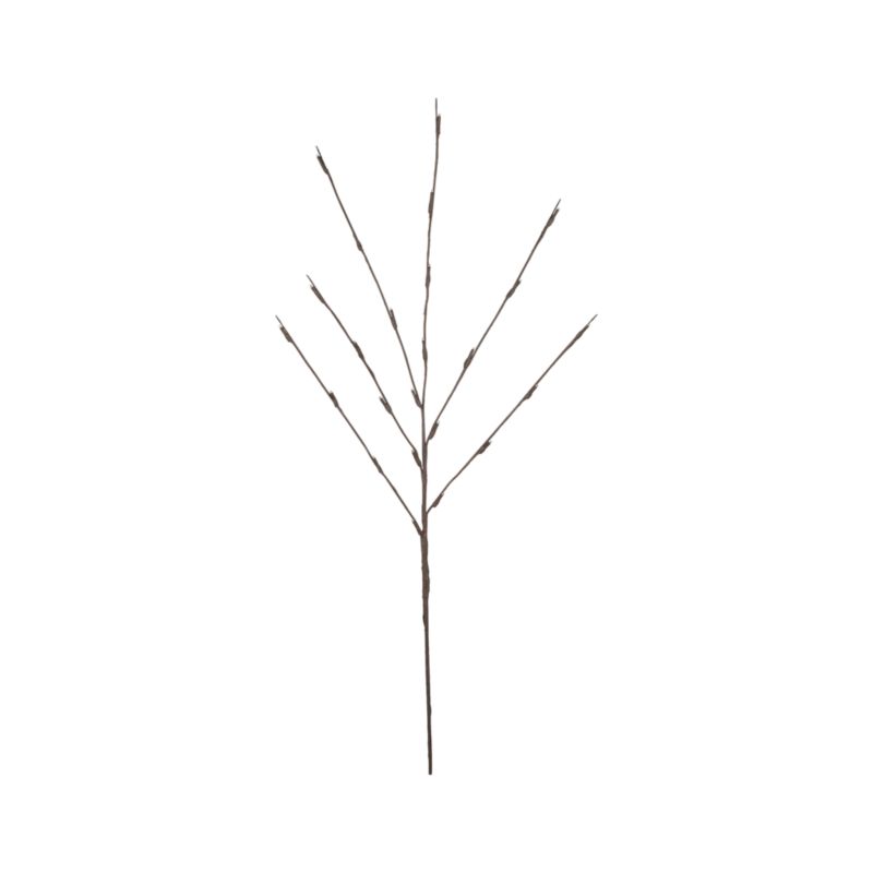 Lighted Branch