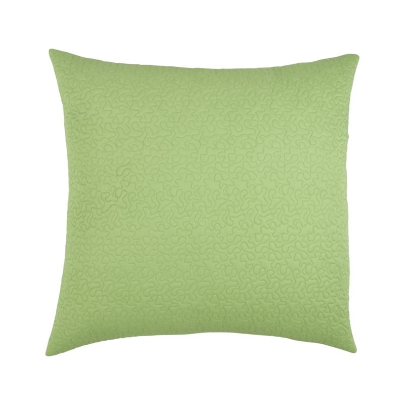 Loren Green Euro Sham