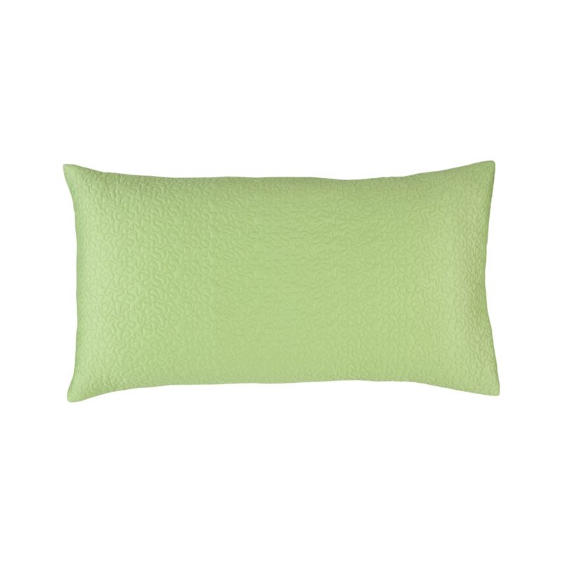 Loren King Sham. Green. 20"Wx36"L